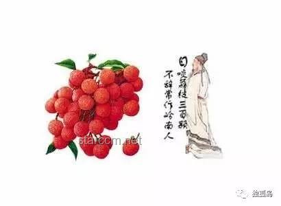 一骑红尘妃子笑：荔枝背后的历史、文化与行业趋势